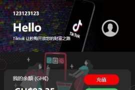 多语言TIKTOK抢单源码带引导页USDT自动充值到账接口