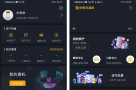 中智交易所[新麦克]带详细说明