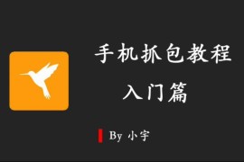 手机抓包教程