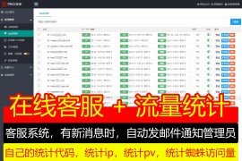 客服及统计代码｜网站访问量统计｜IPPV蜘蛛抓取｜客流量统计系统