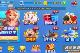 天天游戏组件+双端app 火萤二开