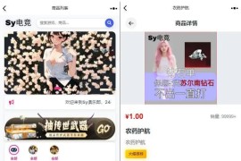 sy电竞护航源码 陪玩代练+派单管理